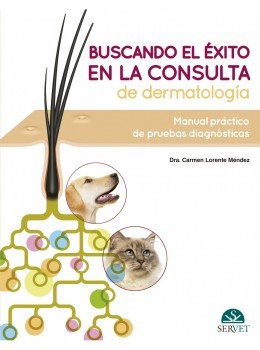 Buscando El Éxito En La Consulta De Dermatología: Manual Práctico De Pruebas Diagnósticas