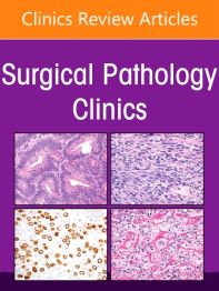 Gynecologic And Obstetric Pathology, An Issue Of Surgical Pathology Clinics, 1St Edition