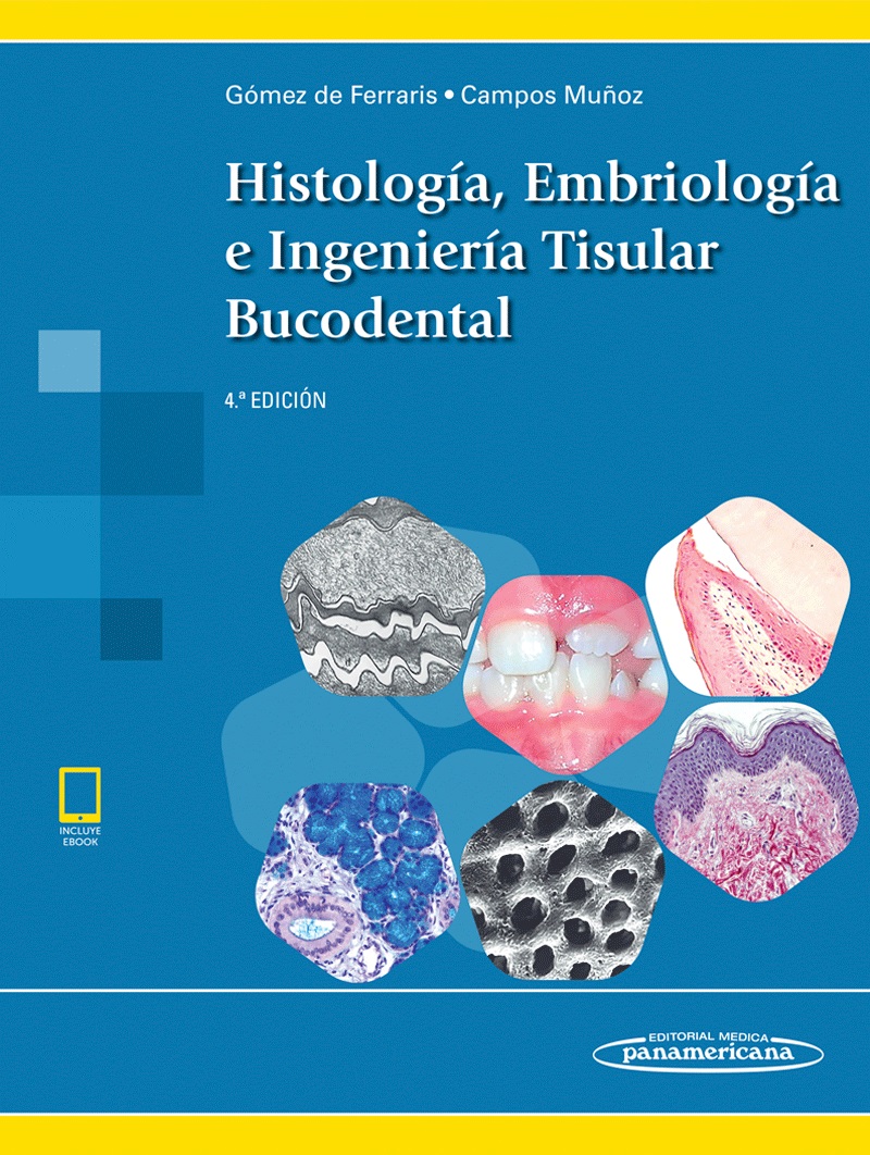 Histología Embriología E Ingeniería Tisular Buco Dental 4Ed Incluye Versión Digital