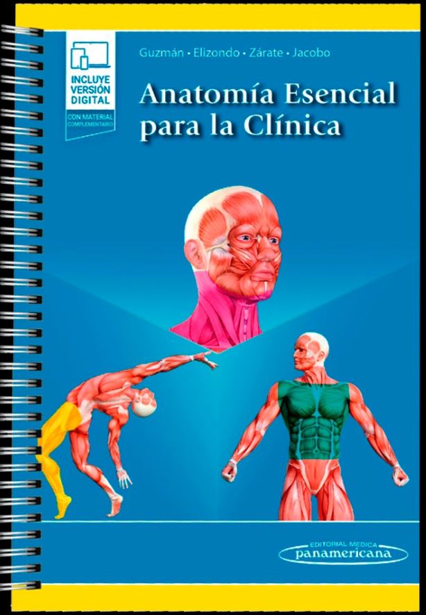 Anatomía Esencial Para La Clínica
