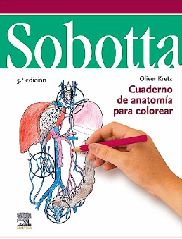 Sobotta Cuaderno De Anatomía Para Colorear