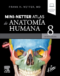 Mini-Netter. Atlas de anatomía humana 8ª Ed.