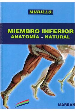 Miembro Inferior. Anatomía Al Natural