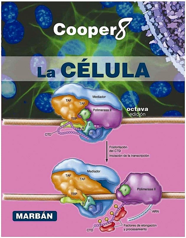 Cooper La Célula 8Ed