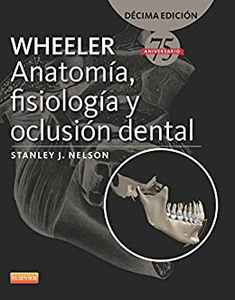 Wheeler. Anatomía, Fisiología Y Oclusión Dental