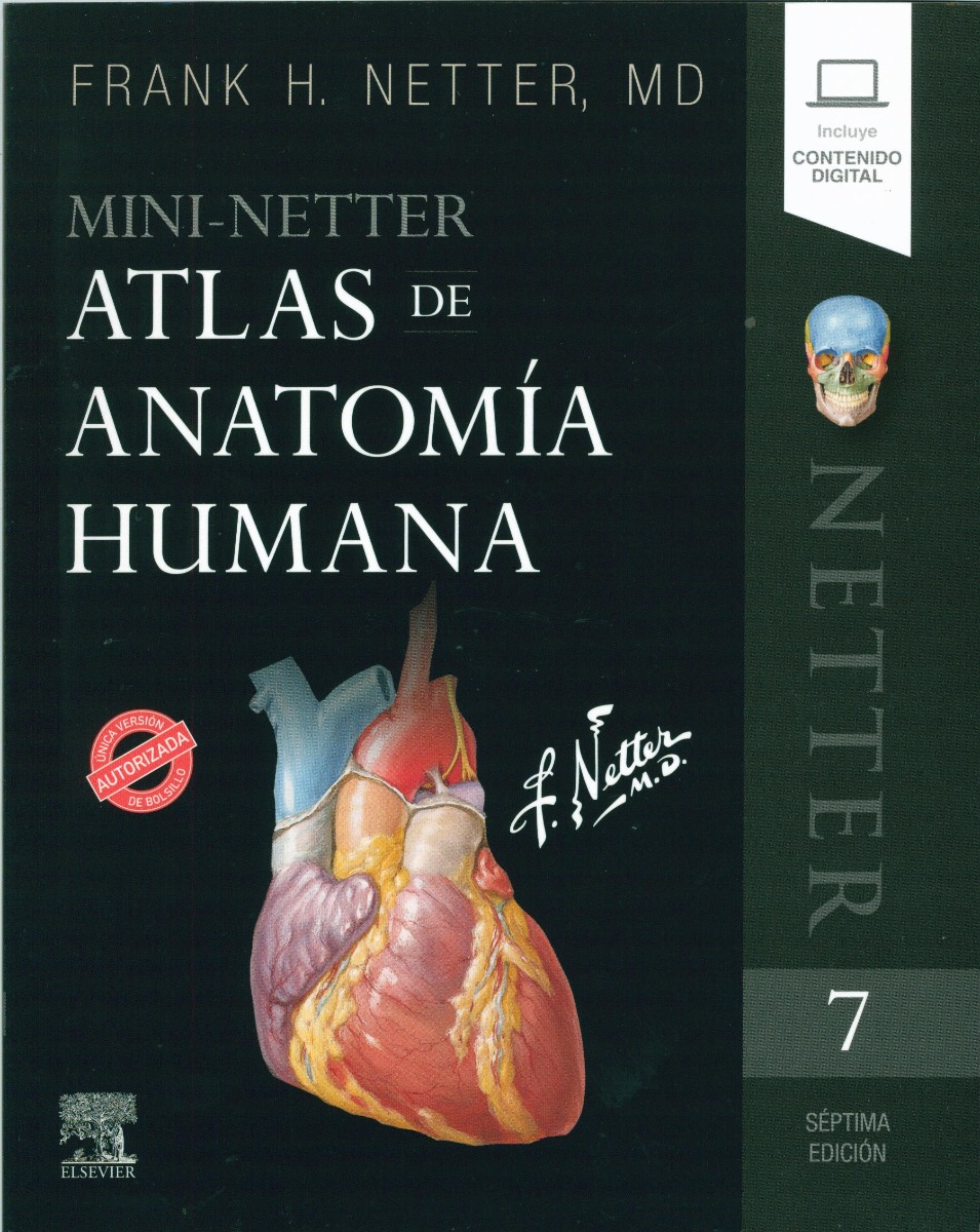 Mini Netter Atlas De Anatomía .