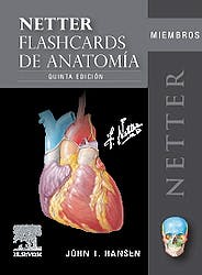 Fichas De Autoevaluación Netter Flashcards De Anatomía Miembros .