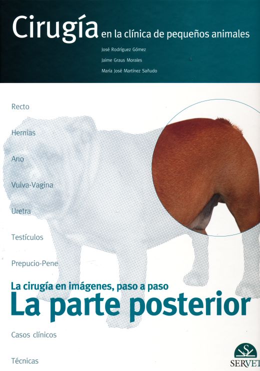 Cirugia en la Clinica de Pequeños Animales