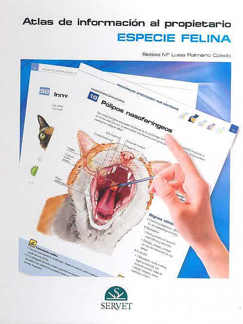 Atlas De Informacion Al Propietario Especie Felina
