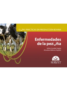 Guías Prácticas En Producción Bovina. Enfermedades De La Pezuña
