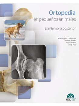Ortopedia En Pequeños Animales. El Miembro Posterior