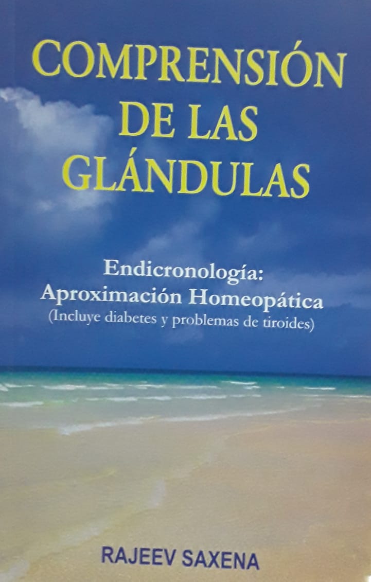 Comprensión De Las Glándulas