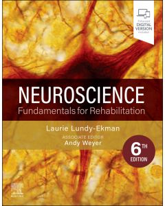 Neuroscience Fundamentals For Tehabi