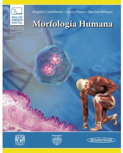 Morfología Humana
