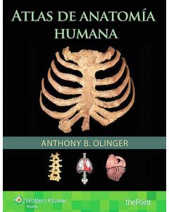 Atlas De Anatomía Humana