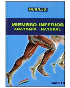 Miembro Inferior. Anatomía Al Natural