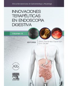 Innovaciones Terapéuticas En Endoscopia Digestiva (Clínicas Iberoamericanas De Gastroenterología Y Hepatología, Vol. 6)
