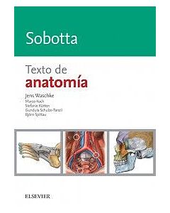 Sobotta Texto De Anatomía
