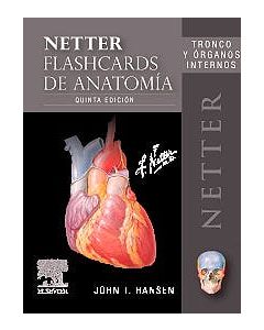 Fichas De Autoevaluación Netter Flashcards De Anatomía Tronco Y Órganos Internos .